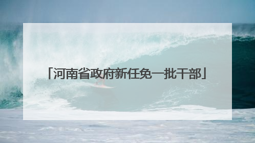 河南省政府新任免一批干部