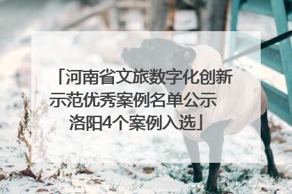 河南省文旅数字化创新示范优秀案例名单公示 洛阳4个案例入选