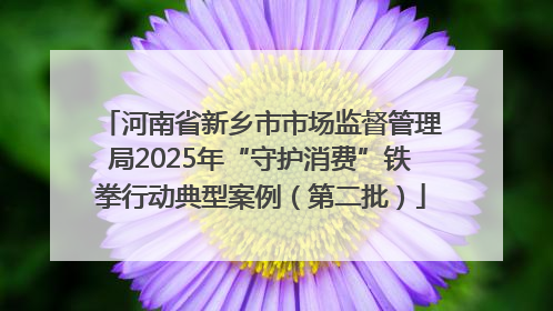河南省新乡市市场监督管理局2025年“守护消费”铁拳行动典型案例（第二批）