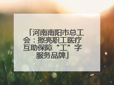 河南南阳市总工会：擦亮职工医疗互助保障“工”字服务品牌