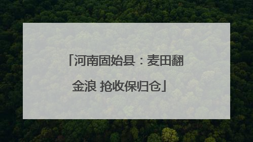 河南固始县：麦田翻金浪 抢收保归仓