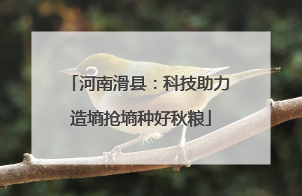 河南滑县：科技助力造墒抢墒种好秋粮