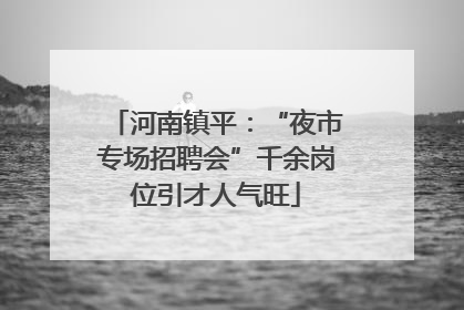 河南镇平：“夜市专场招聘会”千余岗位引才人气旺