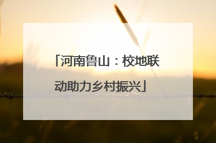 河南鲁山：校地联动助力乡村振兴