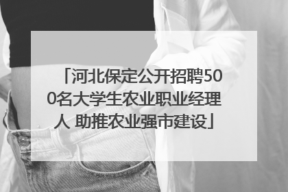 河北保定公开招聘500名大学生农业职业经理人 助推农业强市建设