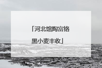 河北馆陶富铬黑小麦丰收