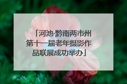 河池·黔南两市州第十一届老年摄影作品联展成功举办