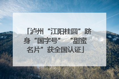 泸州“江阳桂圆”跻身“国字号” “甜蜜名片”获全国认证