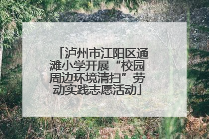 泸州市江阳区通滩小学开展“校园周边环境清扫”劳动实践志愿活动
