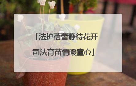 法护蓓蕾静待花开 司法育苗情暖童心