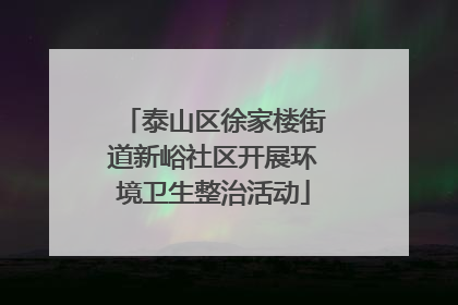泰山区徐家楼街道新峪社区开展环境卫生整治活动