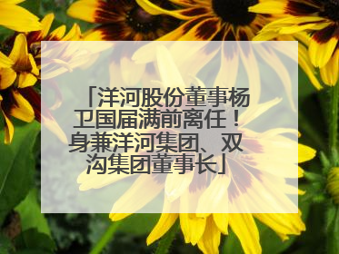 洋河股份董事杨卫国届满前离任！身兼洋河集团、双沟集团董事长