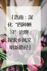 洛南：深化“四种陋习”治理 探索乡风文明新路径