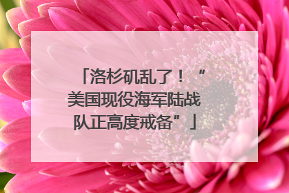 洛杉矶乱了！“美国现役海军陆战队正高度戒备”