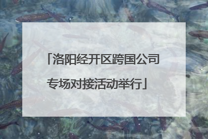洛阳经开区跨国公司专场对接活动举行
