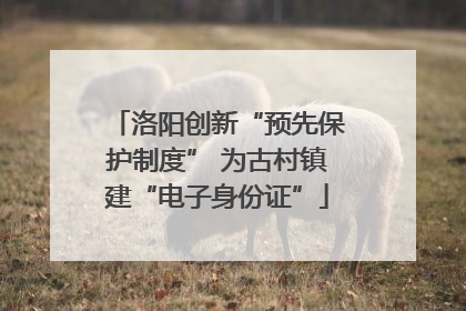 洛阳创新“预先保护制度” 为古村镇建“电子身份证”
