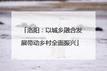 洛阳：以城乡融合发展带动乡村全面振兴