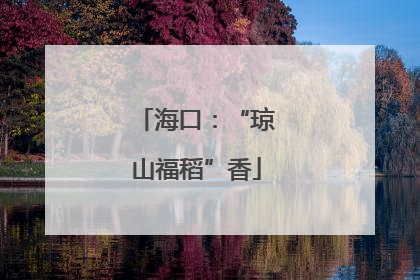 海口：“琼山福稻”香