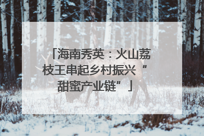 海南秀英：火山荔枝王串起乡村振兴“甜蜜产业链”