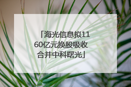 海光信息拟1160亿元换股吸收合并中科曙光