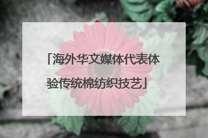 海外华文媒体代表体验传统棉纺织技艺