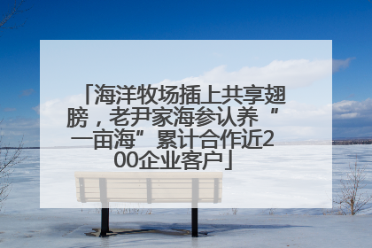 海洋牧场插上共享翅膀，老尹家海参认养“一亩海”累计合作近200企业客户