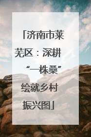 济南市莱芜区：深耕“一株桑” 绘就乡村振兴图