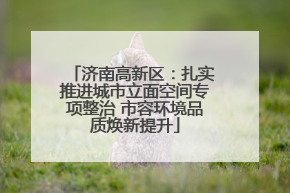 济南高新区：扎实推进城市立面空间专项整治 市容环境品质焕新提升