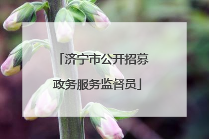 济宁市公开招募政务服务监督员