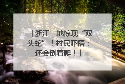 浙江一地惊现“双头蛇”！村民吓懵：还会倒着爬！