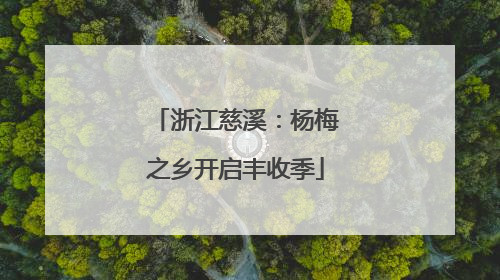 浙江慈溪：杨梅之乡开启丰收季