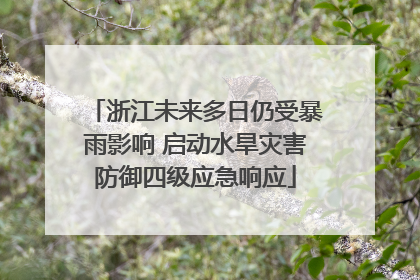浙江未来多日仍受暴雨影响 启动水旱灾害防御四级应急响应