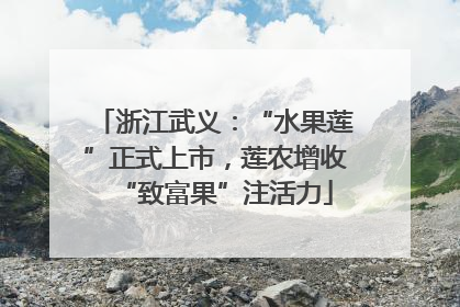 浙江武义：“水果莲”正式上市，莲农增收“致富果”注活力