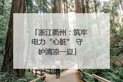 浙江衢州：筑牢电力“心脏” 守护清凉一夏