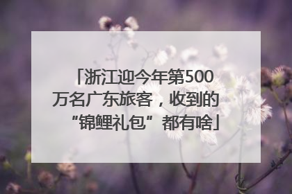 浙江迎今年第500万名广东旅客，收到的“锦鲤礼包”都有啥