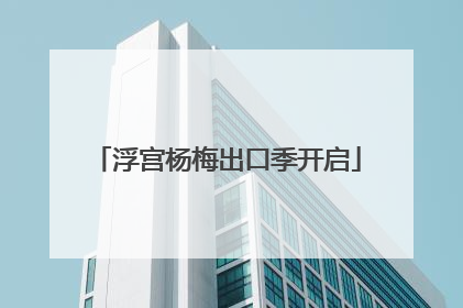 浮宫杨梅出口季开启