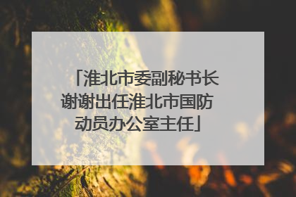 淮北市委副秘书长谢谢出任淮北市国防动员办公室主任