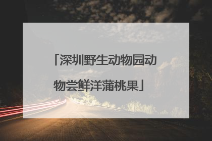深圳野生动物园动物尝鲜洋蒲桃果