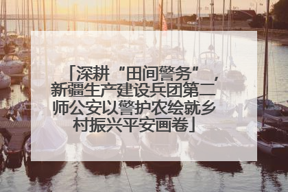 深耕“田间警务”，新疆生产建设兵团第二师公安以警护农绘就乡村振兴平安画卷