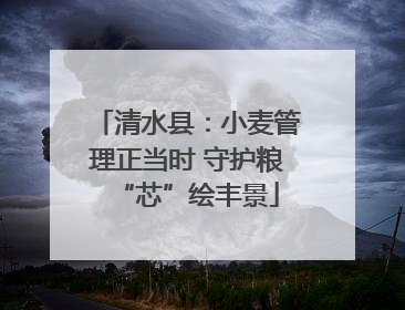 清水县：小麦管理正当时 守护粮“芯”绘丰景