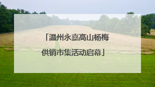 温州永嘉高山杨梅供销市集活动启幕