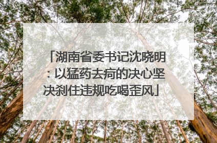 湖南省委书记沈晓明：以猛药去疴的决心坚决刹住违规吃喝歪风