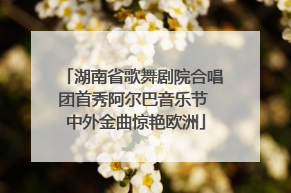 湖南省歌舞剧院合唱团首秀阿尔巴音乐节 中外金曲惊艳欧洲