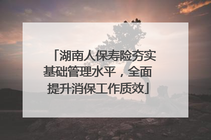 湖南人保寿险夯实基础管理水平，全面提升消保工作质效
