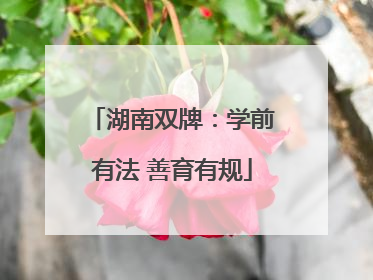 湖南双牌：学前有法 善育有规