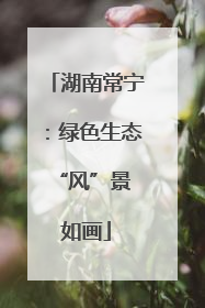 湖南常宁：绿色生态 “风”景如画