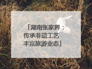 湖南张家界：传承非遗工艺 丰富旅游业态