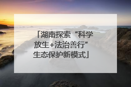 湖南探索“科学放生+法治善行”生态保护新模式