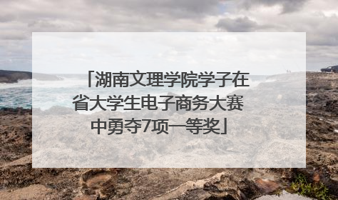 湖南文理学院学子在省大学生电子商务大赛中勇夺7项一等奖