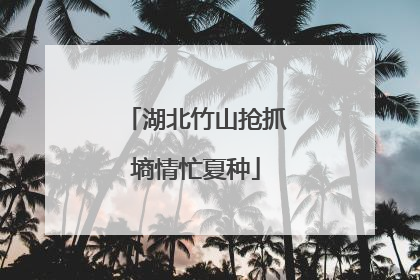 湖北竹山抢抓墒情忙夏种